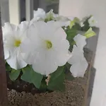 Проживание в семье Pokoj W Karpaczu Карпач