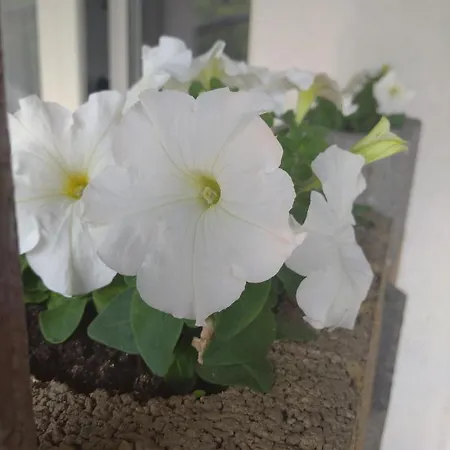 Kwatera prywatna Pokój W Karpaczu Karpacz