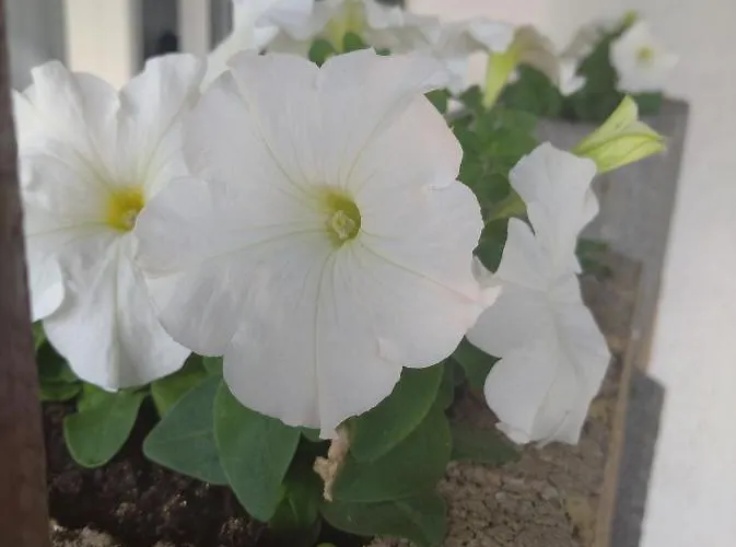 Privatunterkunft Pokoj W Karpaczu Karpacz